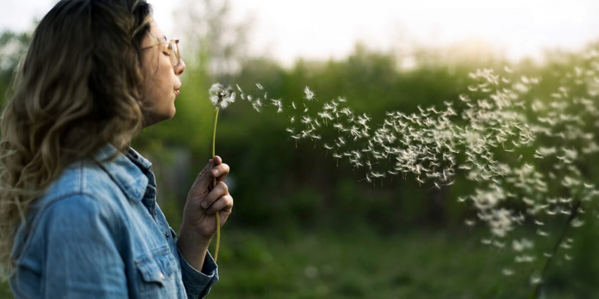 Pusteblume